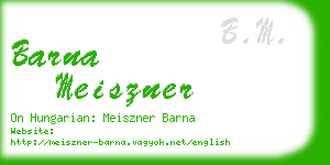 barna meiszner business card